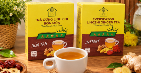Trà gừng linh chi Bốn Mùa