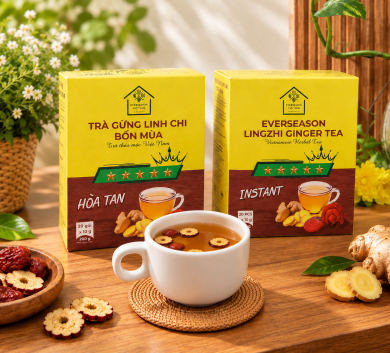 Trà gừng linh chi Bốn Mùa