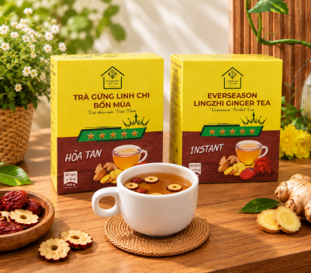 Trà gừng linh chi Bốn Mùa